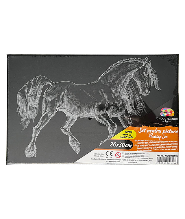 PANZA PREDESENATA PE SASIU NEAGRA 20*30CM CAL SF ART PIGNA PANZA PREDESENATA PE SASIU NEAGRA 20*30CM CAL SF ART PIGNA